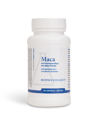 Maca